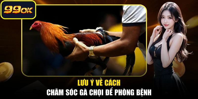 Lưu ý về cách chăm sóc gà chọi để phòng bệnh